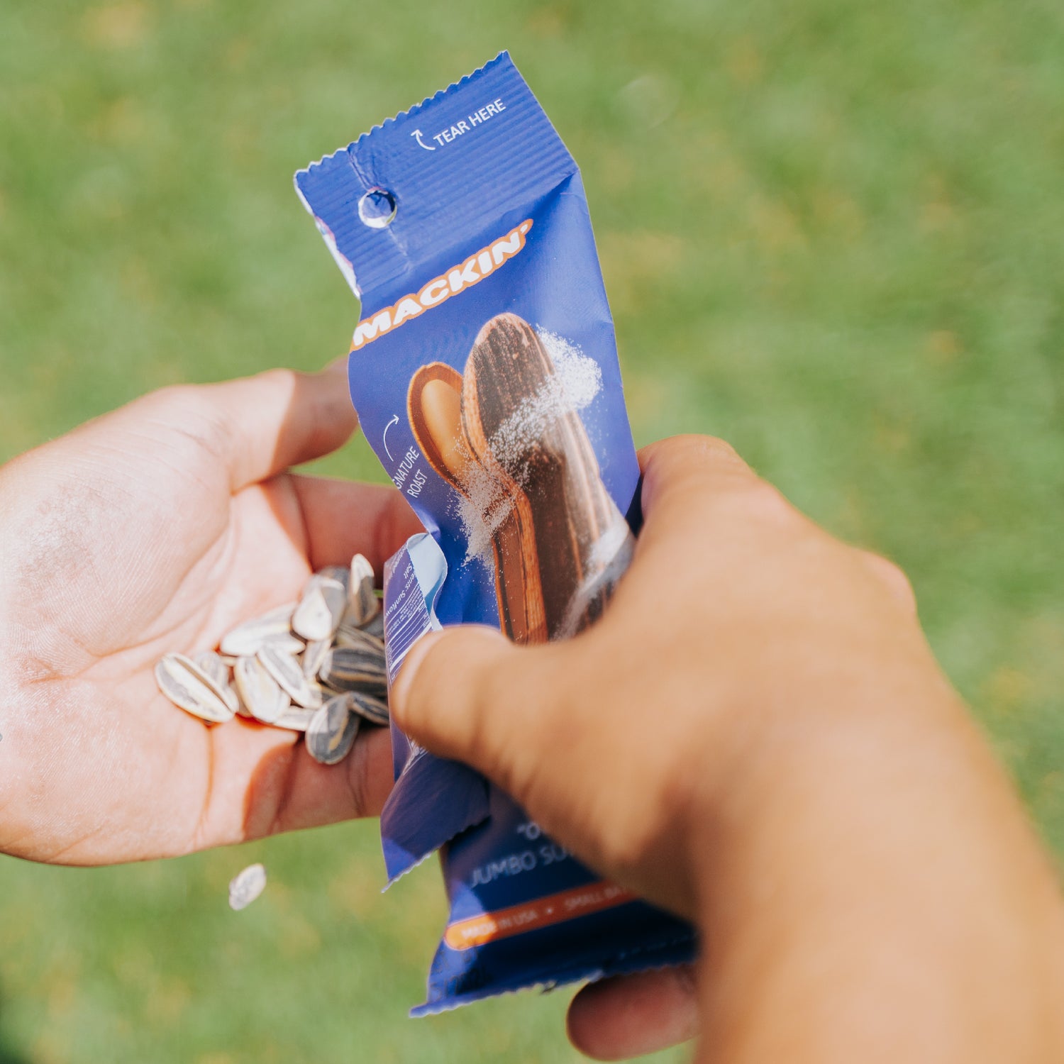 How Much Sodium Is In Sunflower Seeds: Can Sunflower Seeds Be Low Sodium?