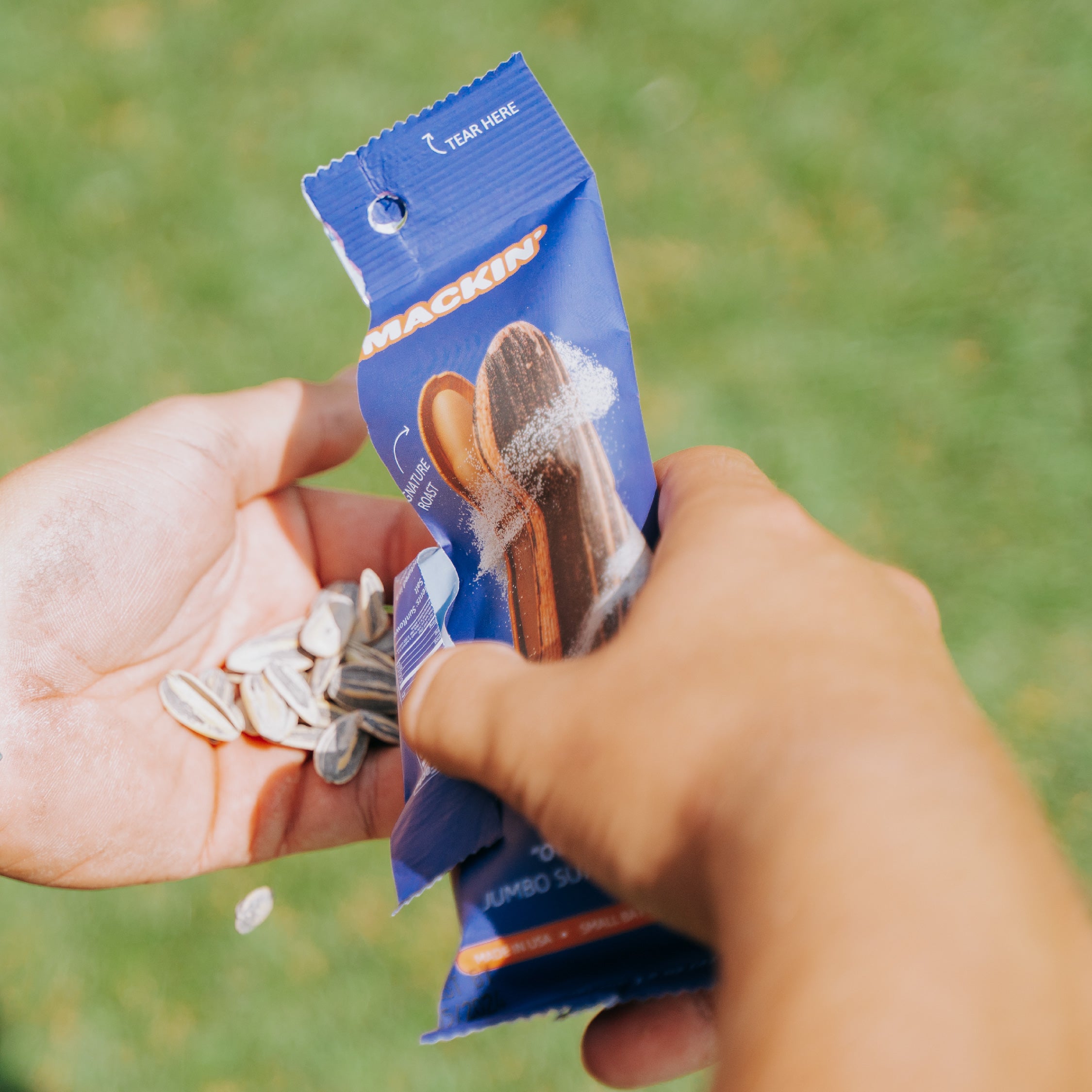 How Much Sodium Is In Sunflower Seeds: Can Sunflower Seeds Be Low Sodium?