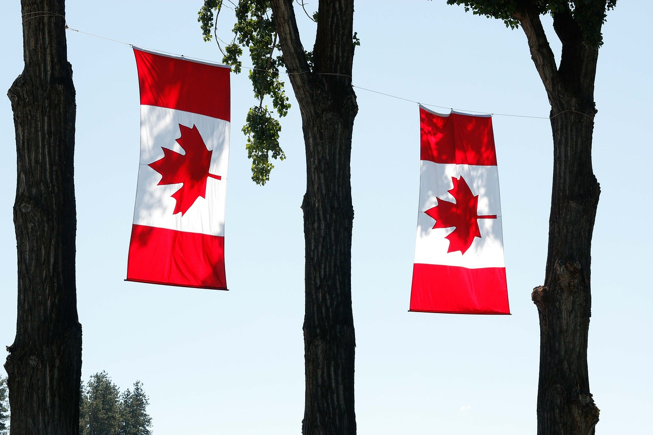Exploring the Top Sunflower Seed Brands in Canada