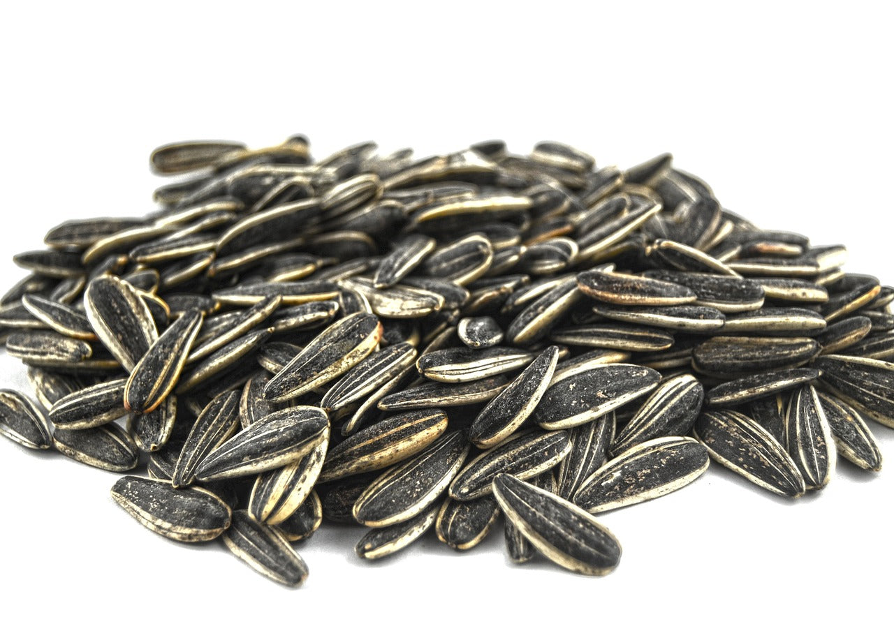 Sunflower Seed Myths Debunked: What You Need to Know