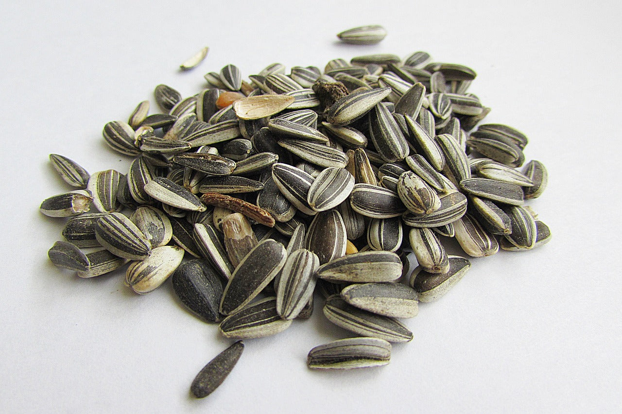 How Much Sodium Is In Sunflower Seeds: Can Sunflower Seeds Be Low Sodium?
