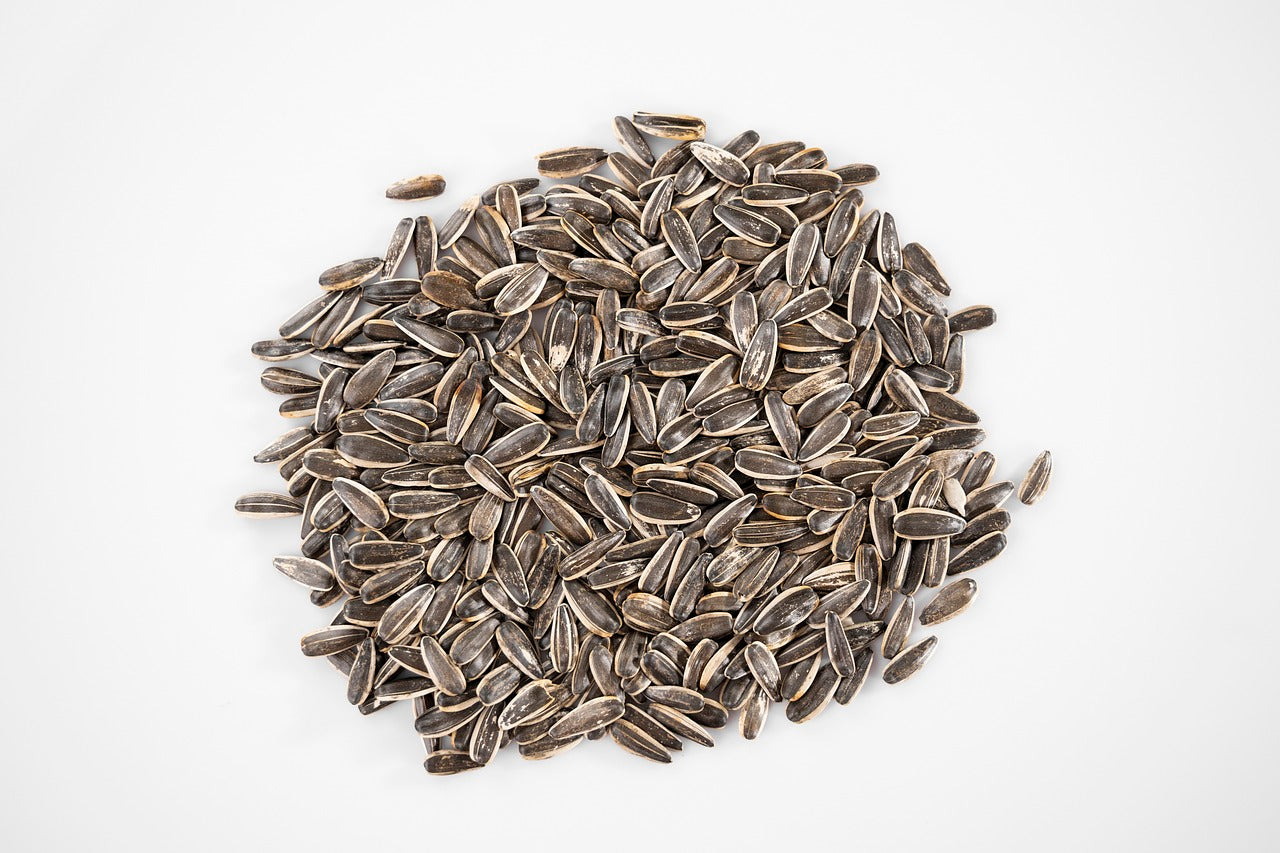 Snack Smarter, Not Harder: Why Sunflower Seeds Are the Ultimate Multitasker’s Snack