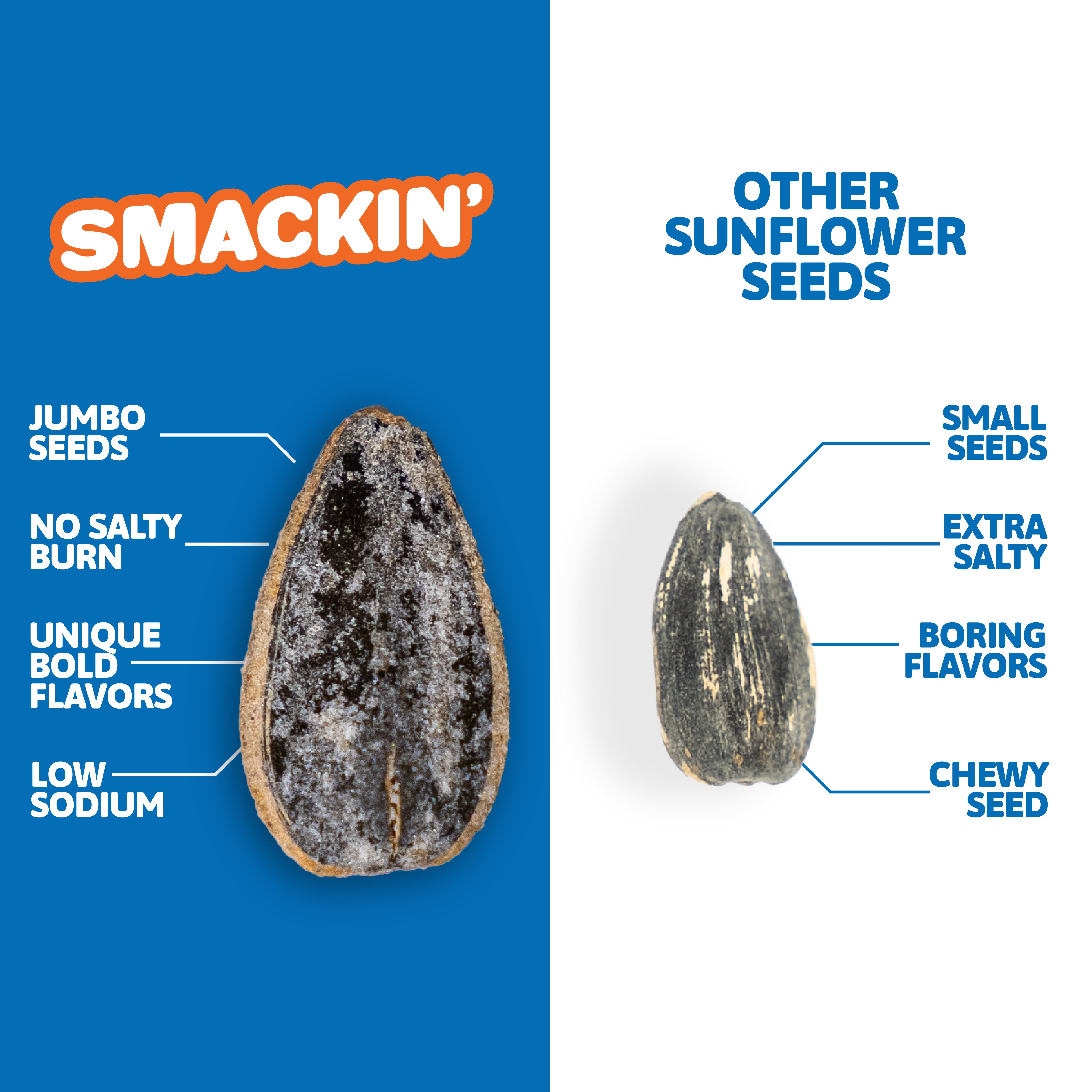 Digital graphic comparing a large, salt-frosted "Smackin'" jumbo sunflower seed on a blue background, promoting no salty burn and unique bold flavors, against a smaller, striped "other sunflower seed" on a white background, described as extra salty with boring flavors and chewy