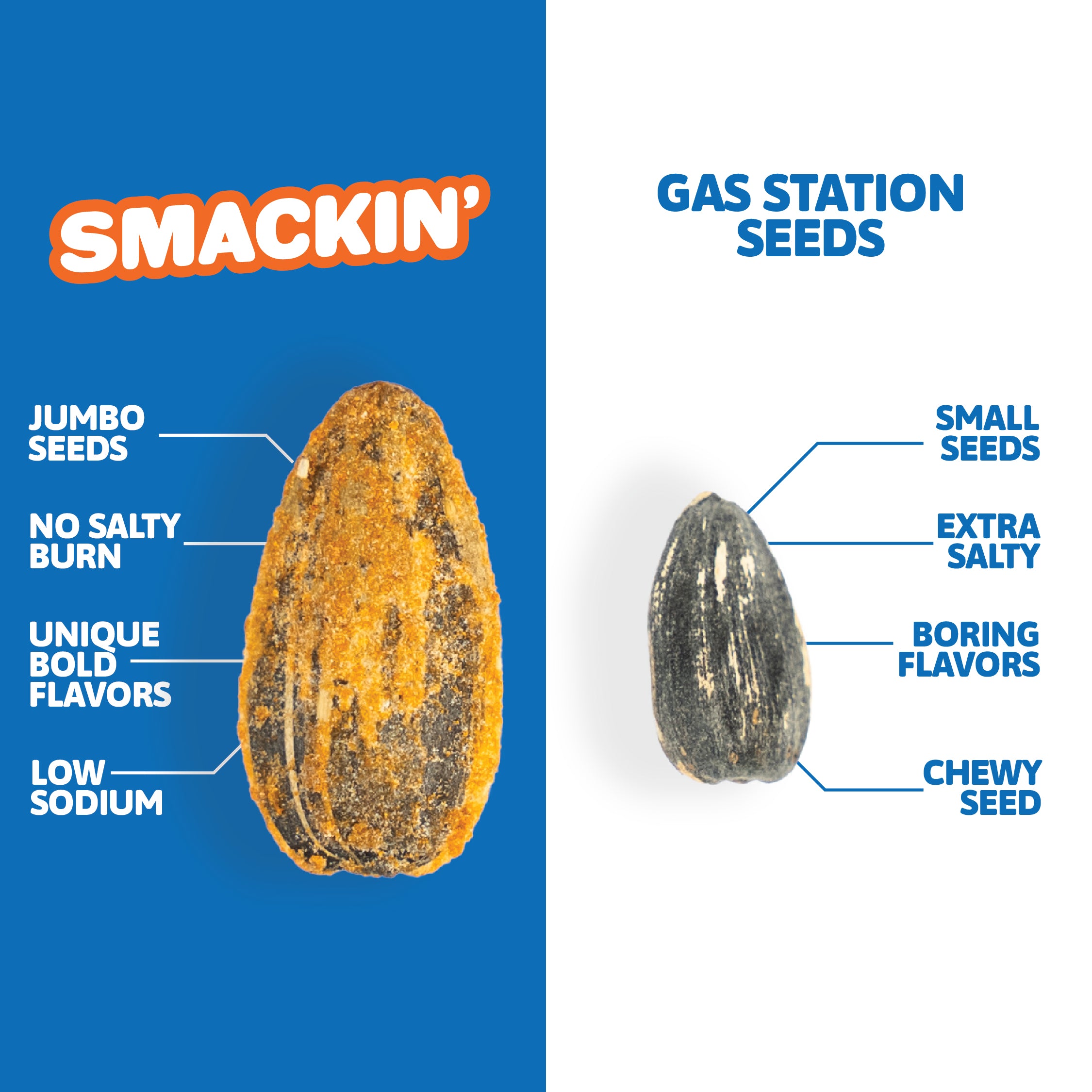 2 FREE Sour Cream and Onion Bags + 12 Bag Variety Pack