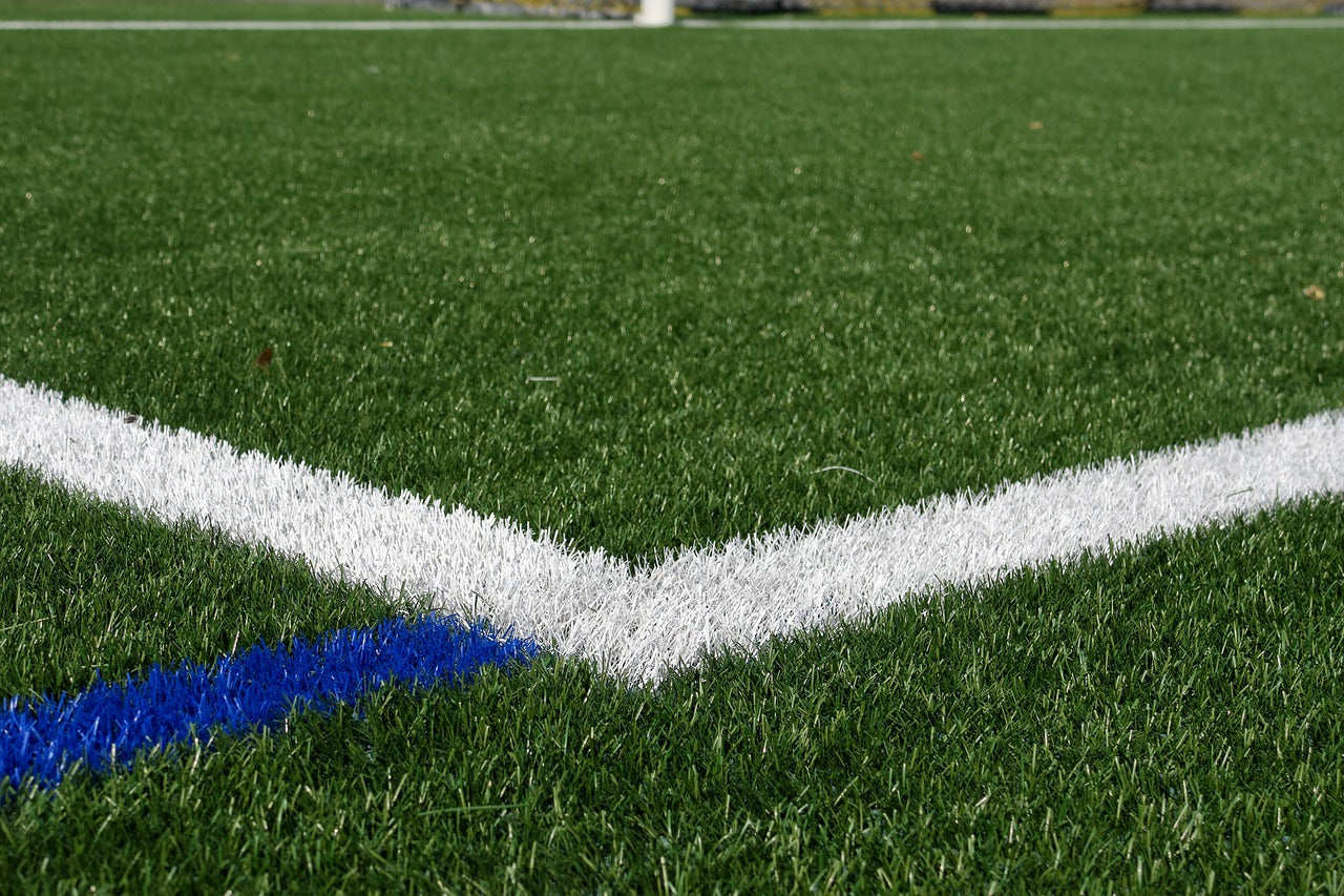 Why Can’t You Eat Sunflower Seeds on Turf Fields?