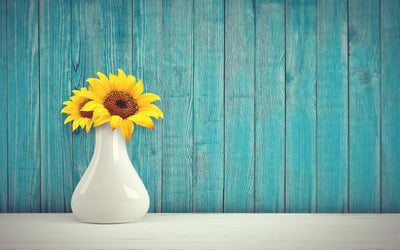 How To Plant And Grow Sunflower Seeds At Home