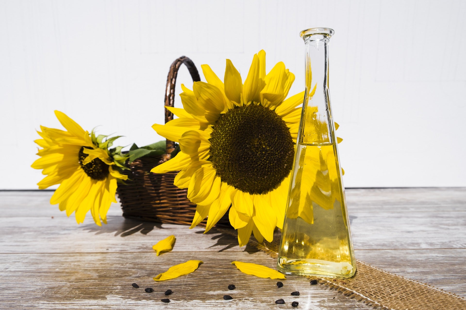 Goodness Sunflower Oil transcends mere culinary utility; it embodies the essence of goodness, nourishing both body and soul. In Thailand and Malaysia,
