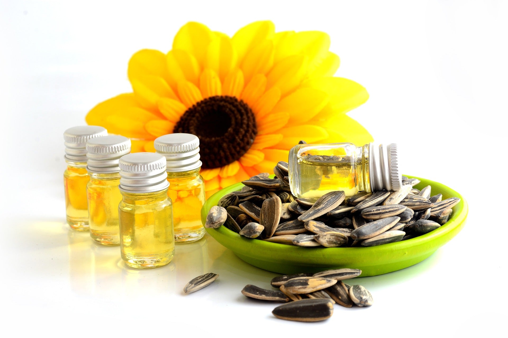 How Sunflower Seeds Can Help Reduce Your Carbon Footprint