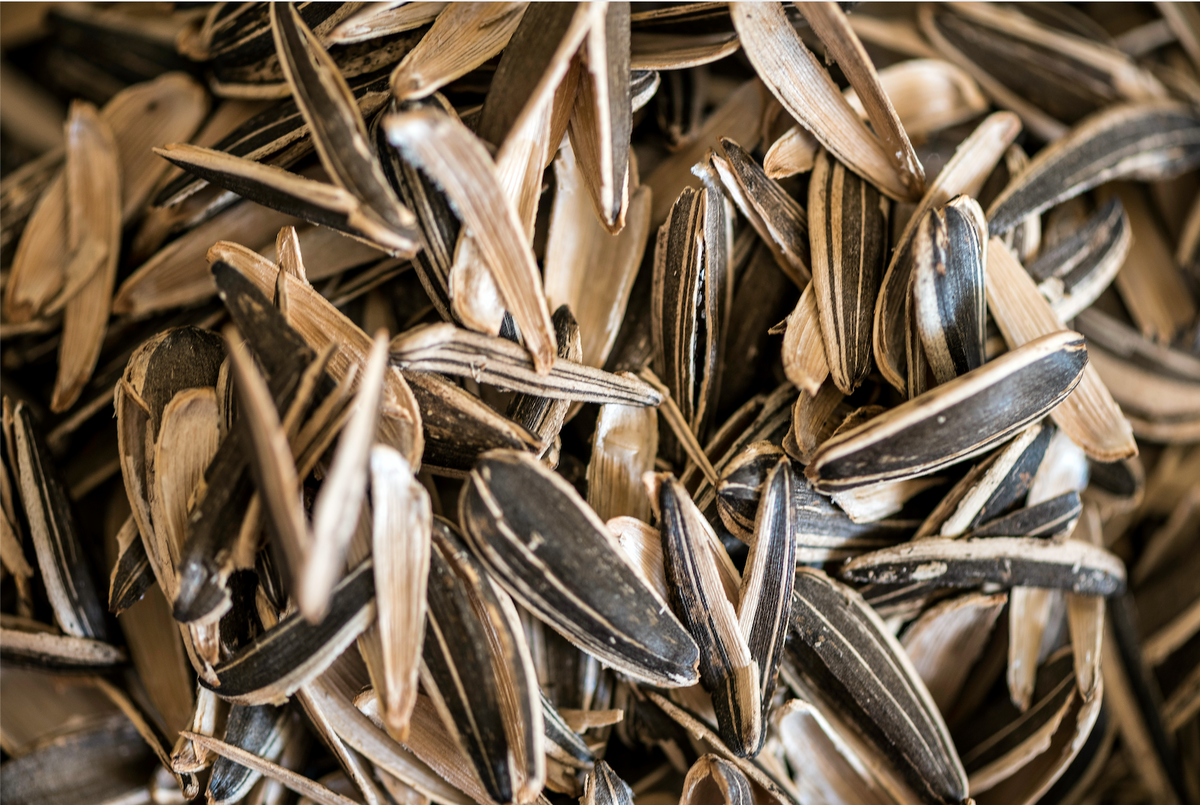 Sunflower Seed Shells Can They Be Eaten?