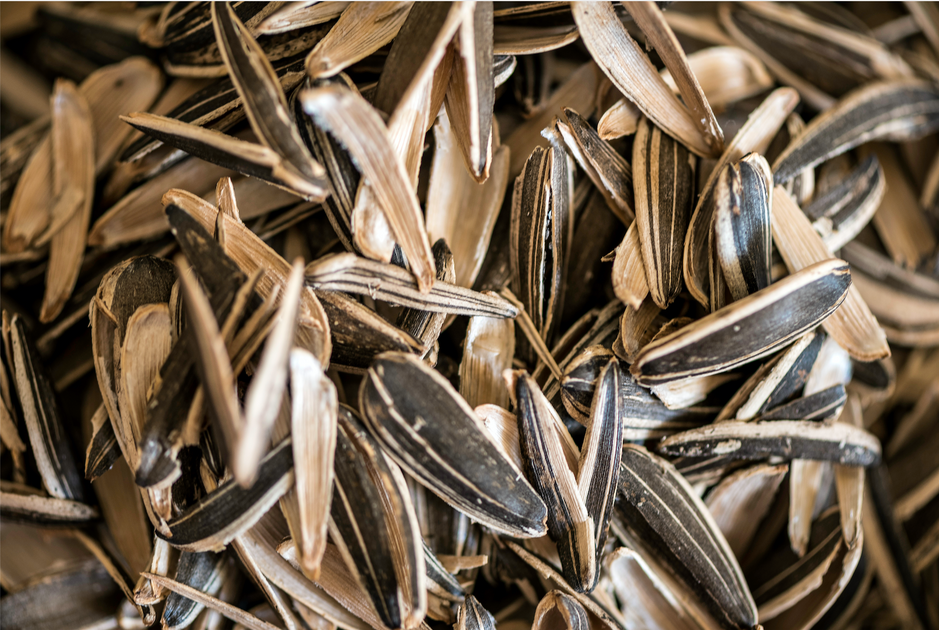 Sunflower Seed Shells - Can They Be Eaten? – SMACKIN' Sunflower Seeds